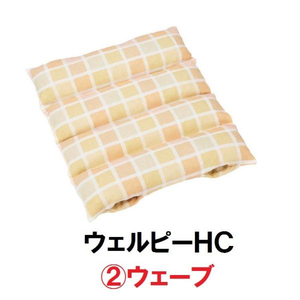 EFs[HC@EF[u PC-HC-W1 ^CJ ̈ʕێ ϊ ̈U  |WVjO s ʋC @[J[i