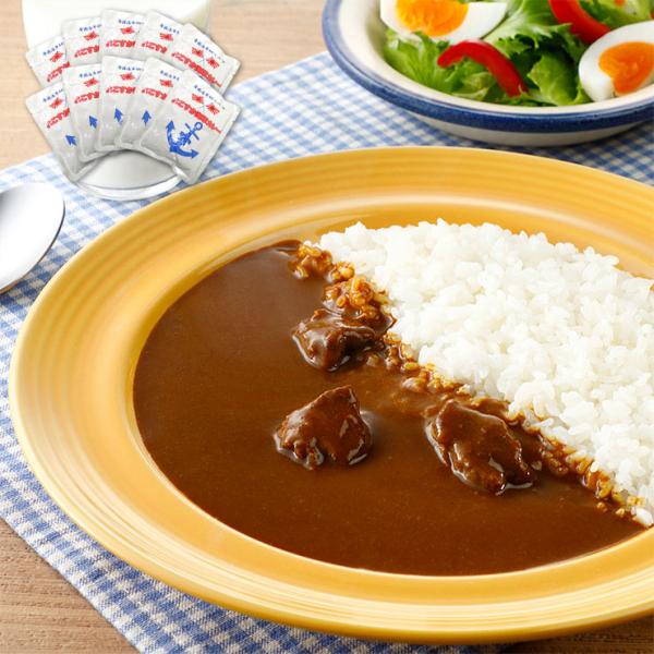 よこすか海軍カレー ネイビーブルー 10食セット 外箱なし 中辛 横須賀海軍カレー カレー レトルト ミリメシ ご当地 自宅用 非常食 保存食 防災 父の日 母の日