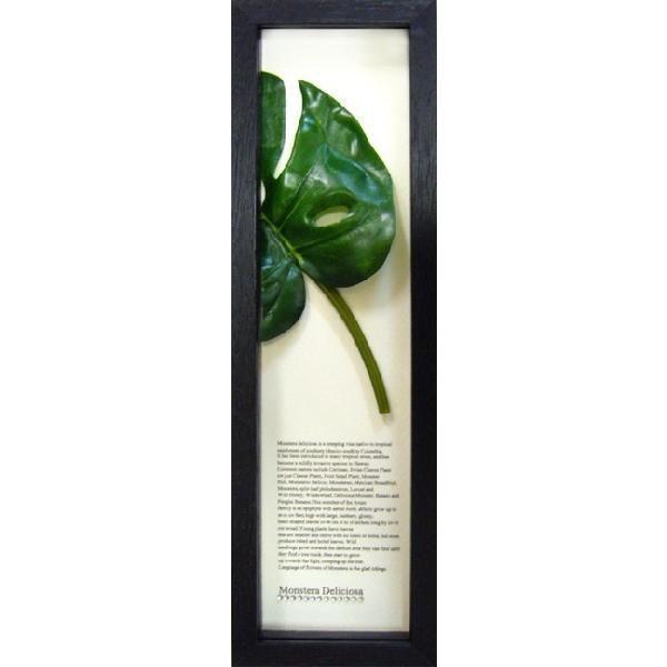 AWAAnCA~jA[g CeAA[g Ǌ| nCAG nCACeA Xe nCG  v[g o lC fG