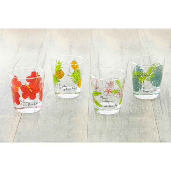 プルメリア 皿の人気商品 通販 価格比較 価格 Com