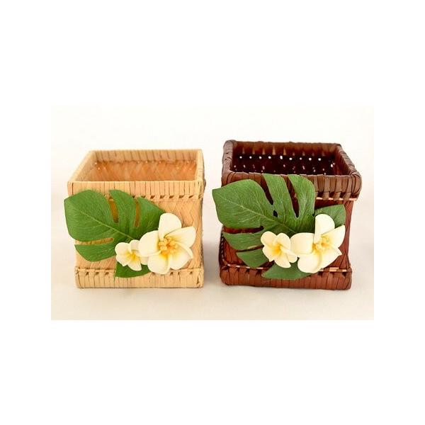 kailanialoha_10005920