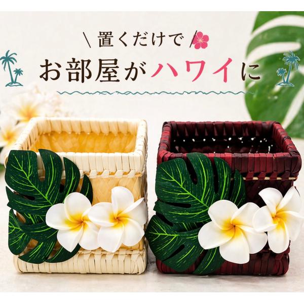 ハワイアン Hawaiian バスケット 小物入れ 【プルメリア×モンステラ