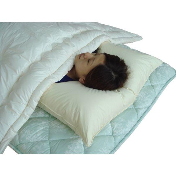  ܂ 50×70 H _Es[ 􂦂 ӂ ӂӂ Hі {