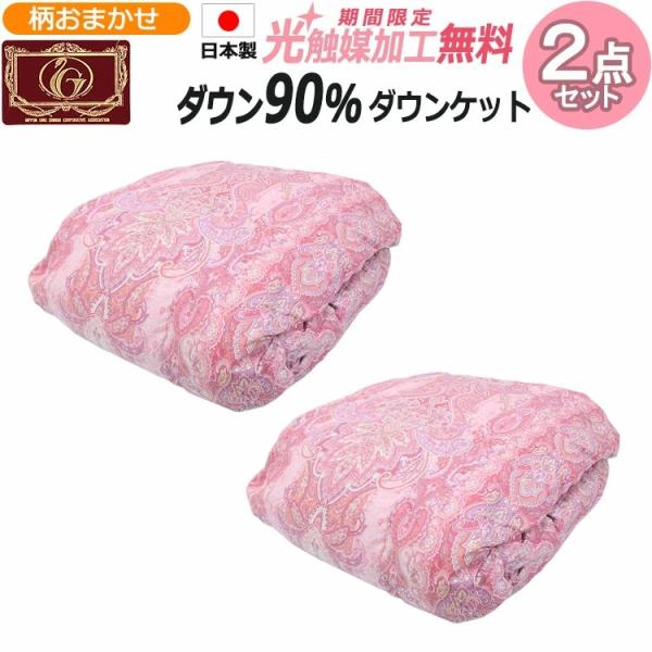 昭和西川 ホワイトダックダウン90％ エクセルゴールドラベル 高級羽毛