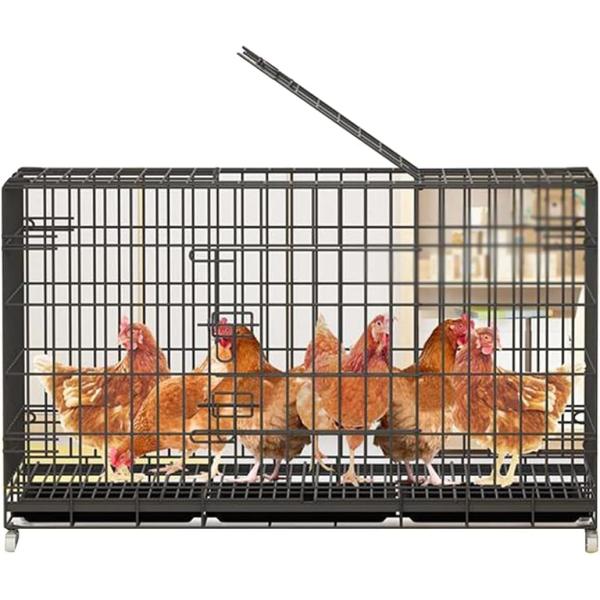 鶏用ケージ鶏舎の鶏小屋大鶏小屋家禽ケージ屋外の鶏小屋2つの巣箱付き家禽ケージ