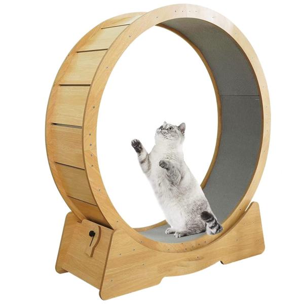 【健康になるためのフィットネスプランを始めよう！】家の猫たちにとって、過体重や肥満の猫がますます増えています。猫の肥満は猫の健康問題を引き起こすことがあります。良い猫用ランニングマシンは、素晴らしい選択肢です。猫用ホイール、猫を楽しく保つこ...