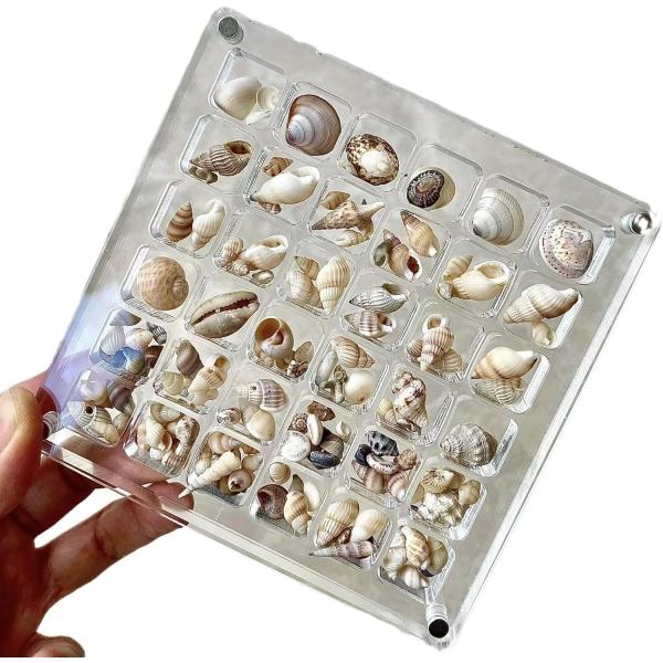 ?[アクリル磁気貝殻ディスプレイボックス]：この透明なアクリルディスプレイボックスは、貝殻を整理および紹介するための複数のグリッドオプション（1/36/64/100）を提供します。非常に透明なアクリル材料により、保存された貝殻を明確に見るこ...
