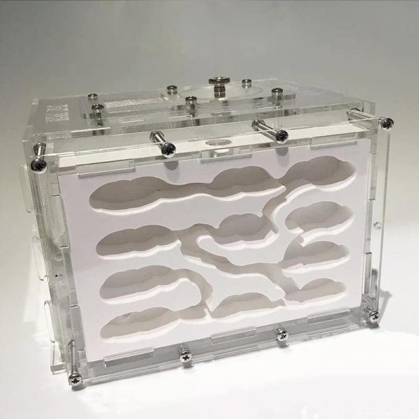 透明なアクリルでできたケースは360度どの方向からでも中のアリの生活を観察することができます。土やゲルを使用しないので腐らず清潔も簡単です。アリに快適に暮らせる理想的な飼育容器です。保湿性が高く湿度管理がしやすい、巣の上部（1/3）を湿らせ...