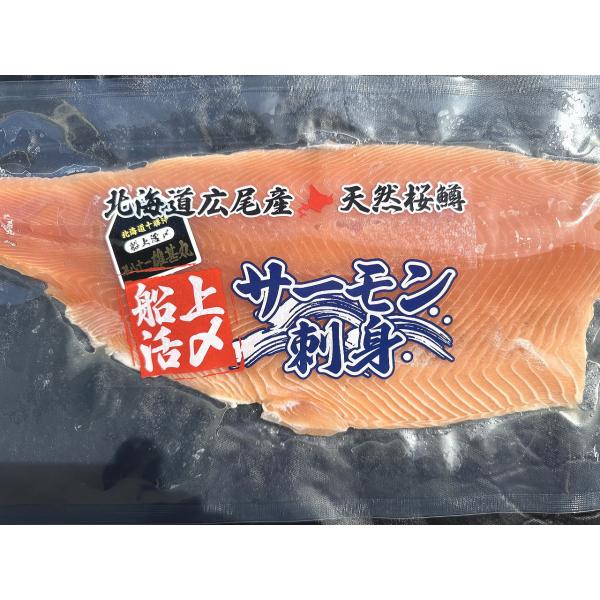広尾産 船上活〆 天然冷凍サクラマス（半身350g）