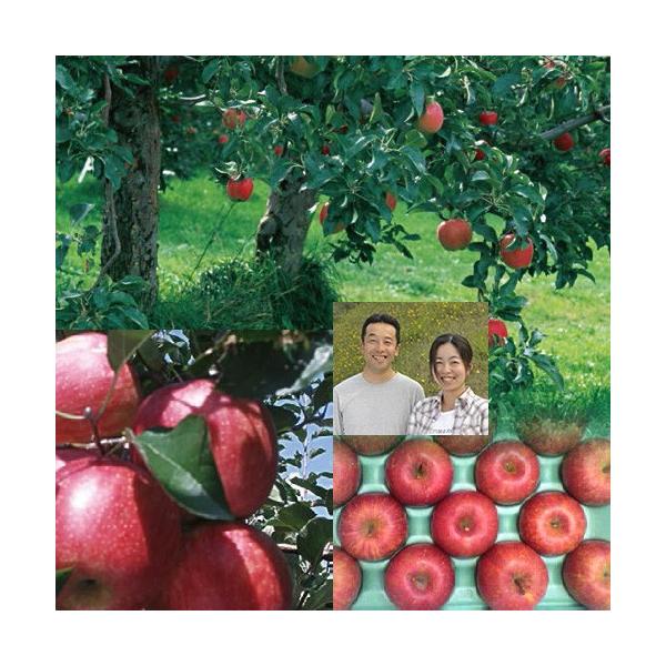  Ε ͂ʎ sY nTӂ 5kg 16`22 Yn Mtg