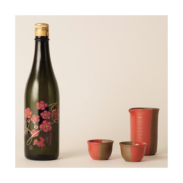 ̓{ƍH|iZbg L n đ 720ml {݌ÏĎZbg