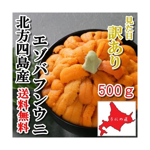 【送料無料】【訳あり】無添加塩水うに500g(エゾバフンウニ)(北方四島産)(北海道うに丼)