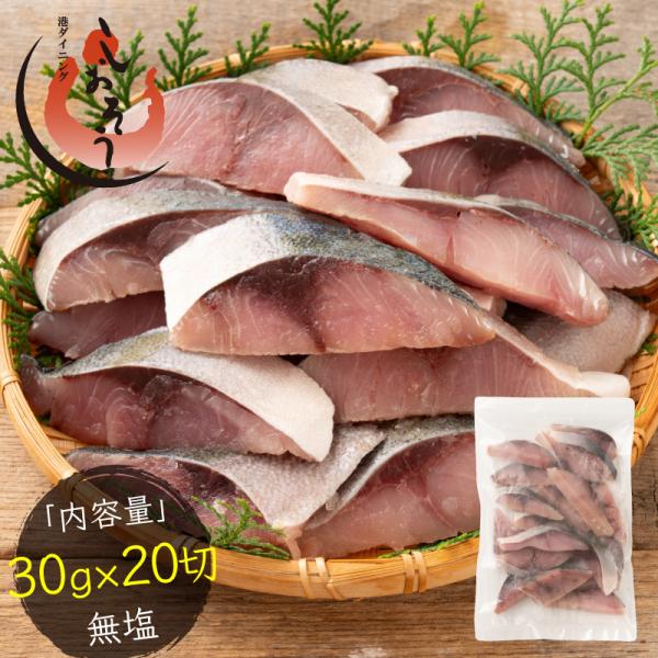kaisenichibashioso_buri-600 kaisenichibashioso_buri-600