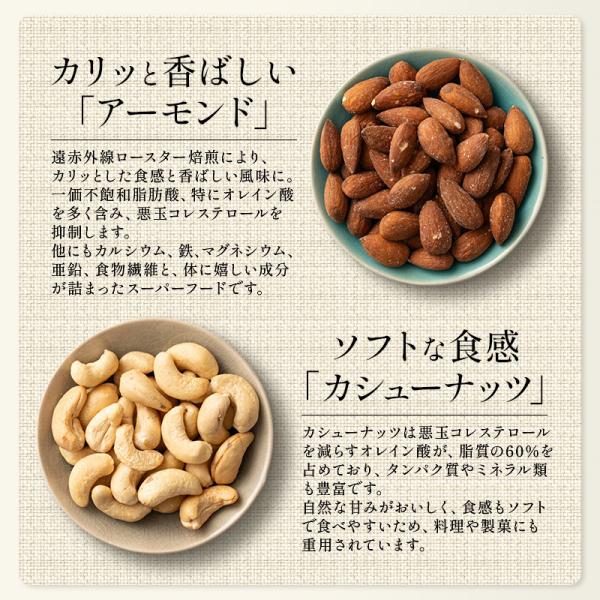 kaisenichibashioso_choconuts-500_4_d_20241113104353