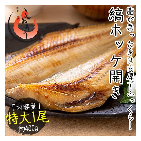 ȃzbP  銱 400×1 TCY  Ȃق 30cmO |Cg |Cg Ε