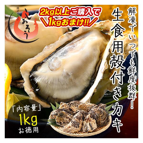 JL y  Hp kt 1kgi8`10Oj Ⓚ