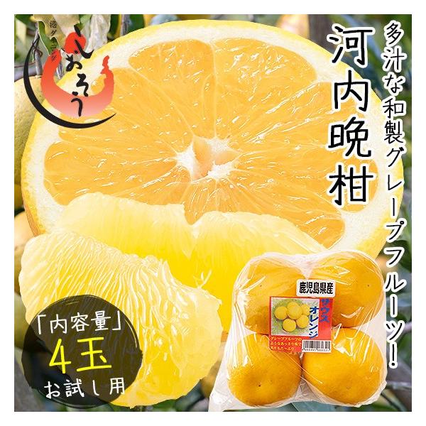 kaisenichibashioso_kawatibanka kaisenichibashioso_kawatibanka