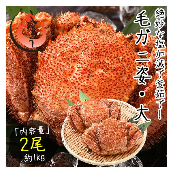  Jj I ъI т уKj 500gO×2 kCY Ε