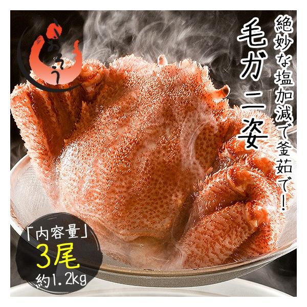  Jj I ъI т уKj 400gO×3 kCY Ε