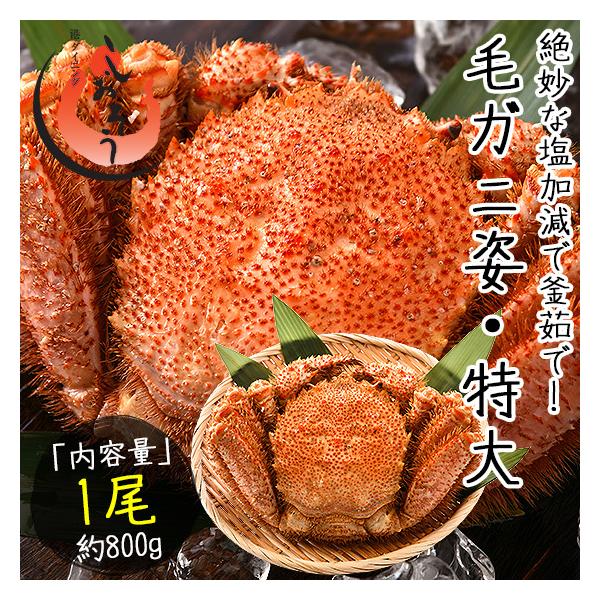  Jj I ъI т уKj 800gO×1 kCY