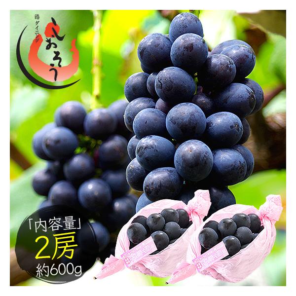 kaisenichibashioso_nagano-purple-2