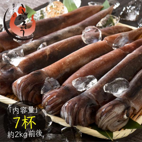 生 するめの人気商品 通販 価格比較 価格 Com