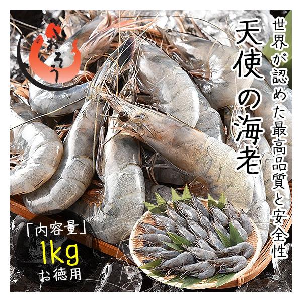 Vg̊CV 1kg i20`30j Gr CV