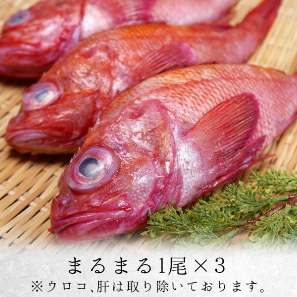 北海道 オホーツク産 キンキ 3枚 Or 3尾 セット 特大 きんき めんめ 吉次 きちじ 高級魚 煮魚 焼き魚 送料別 クール便 Buyee Buyee 日本の通販商品 オークションの代理入札 代理購入