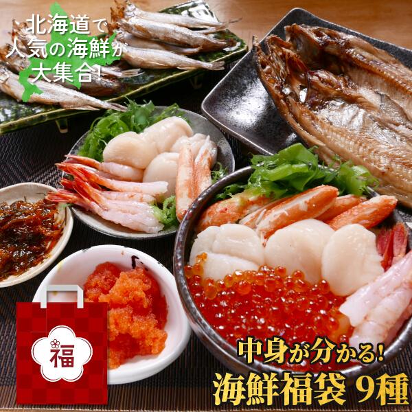 海鮮 詰め合わせ 福袋 9種 11点 中身が見える セット お中元 食品 2025  