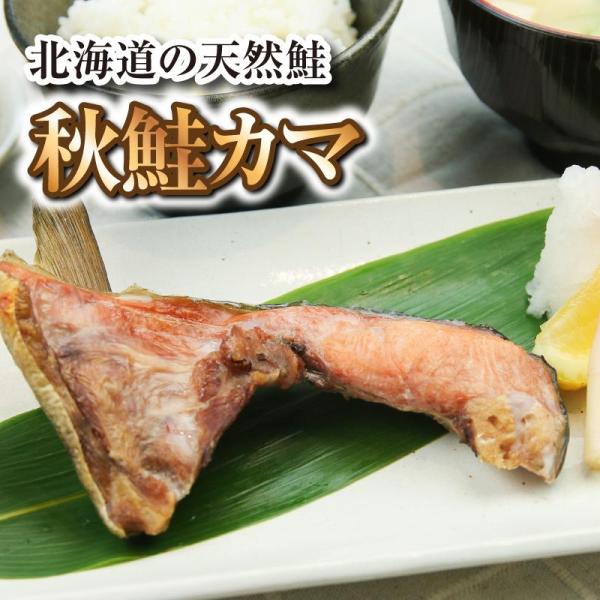 「ほどよい脂」と「しっとりした身質」※本商品は非加熱品です。加熱してお召し上がりください。【原材料名】秋鮭（北海道沖）、食塩【内容量】500g【保存方法】要冷凍（-18℃以下）