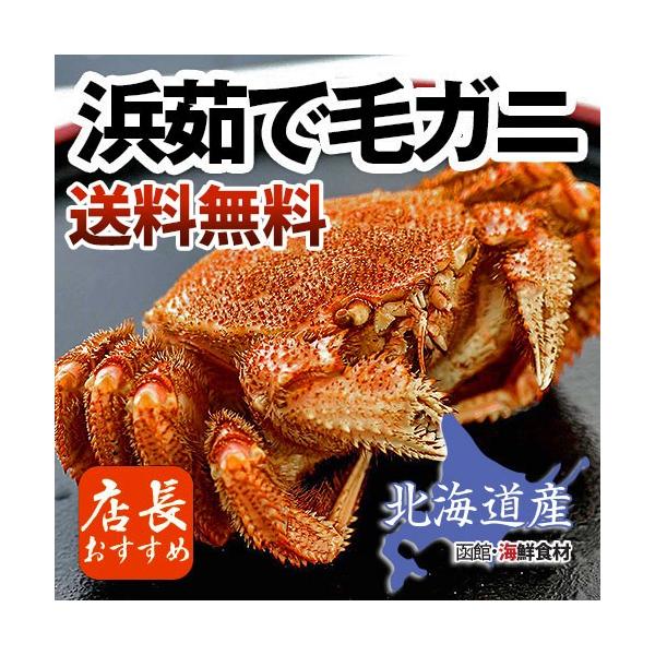 kCY{CтɁ@450gȏ×2Zbg / kC  Ki ʌ 