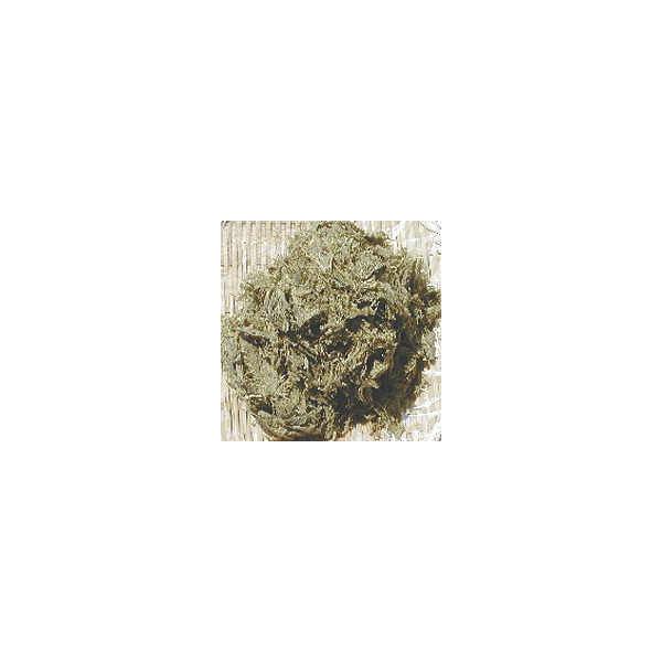 kCYu߂Ƃ덩zv110g