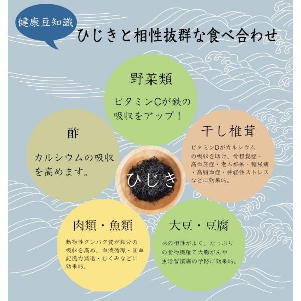 ひじき 乾燥 100g 袋 国産 国内産 送料無料 国内産 業務用 乾物 乾燥豆類 缶詰 天然ひじき 鹿児島県 産地から原料を買付け自社製造で仕上げた一品 乾燥 Kagoshima100g 海藻専門店 かいそうのお店 鹿児島産 芽ひじき