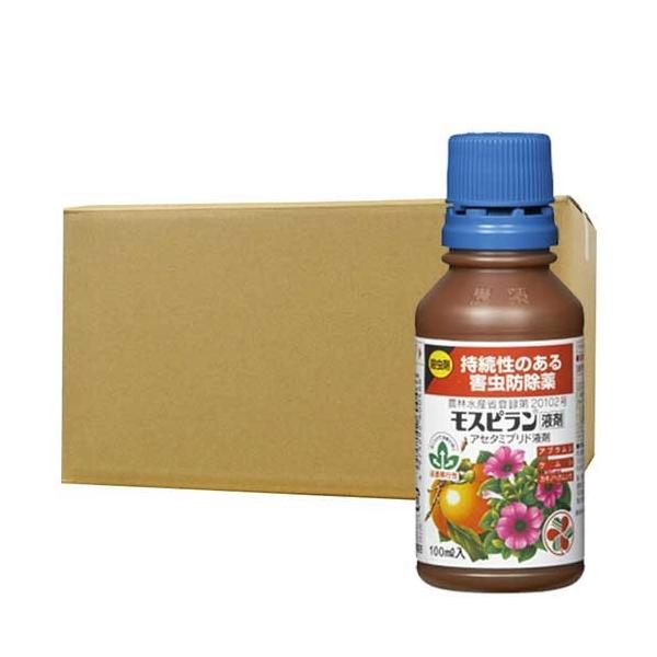 Xst ̂Qh 100ml×10{ KINCHO| E _