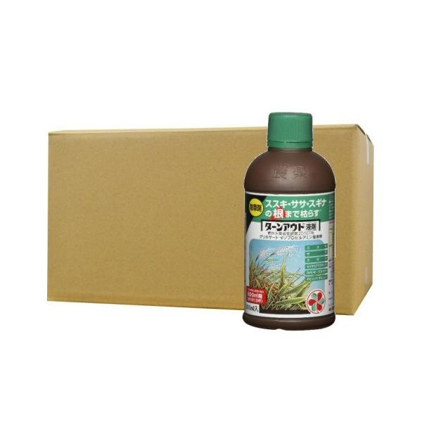  ^[AEgt 300ml×10{ KINCHO| _