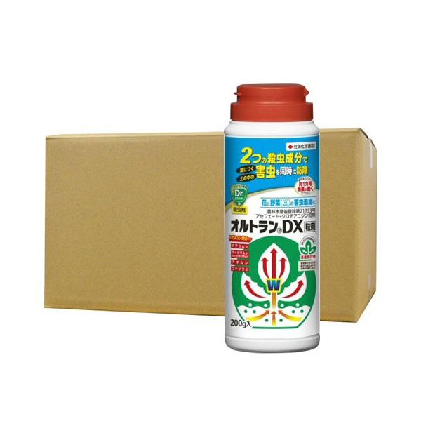 Q΍ IgDX 200g×10{ KINCHO| E _ AuV