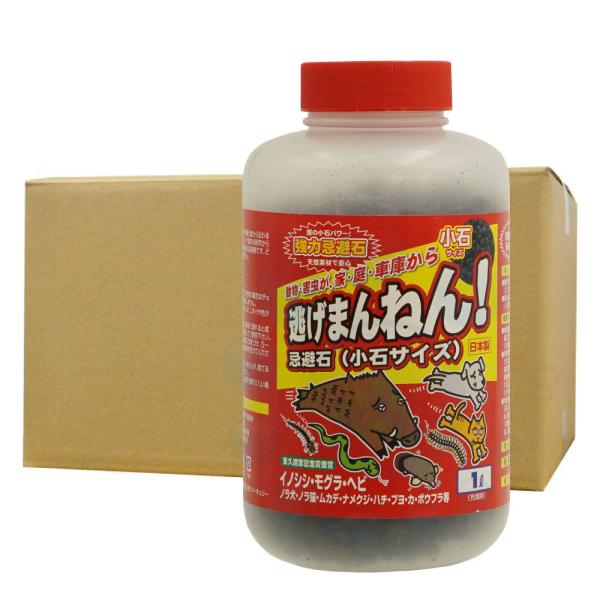 P[Xw ܂˂ ΃TCY 1L×12{