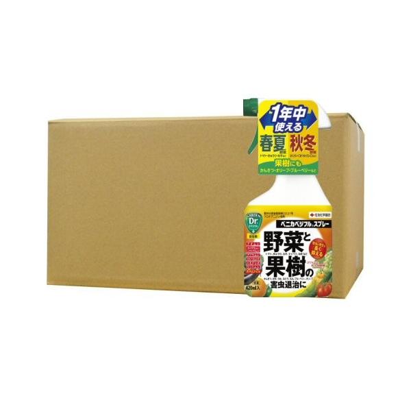 EEۍ KINCHO| xjJxWtXv[ 420ml×30{ _  ϗt  ʎ Q AuV E