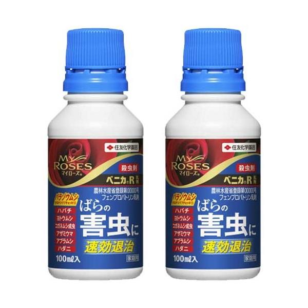 xjJR ΂Qގ 100ml×2{ KINCHO| E _