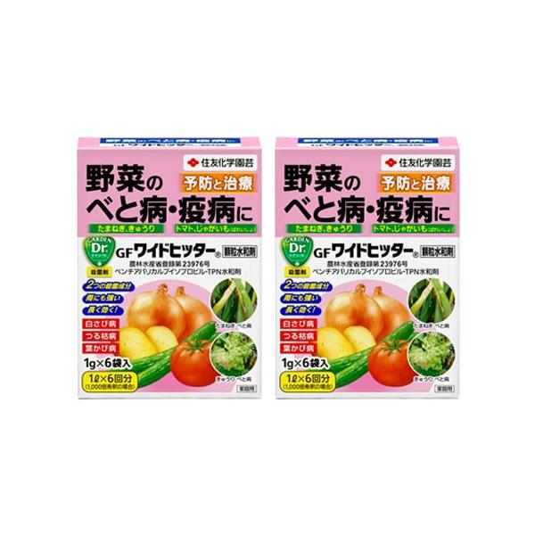 Eۍ _ GFChqb^[a (1g×6)×2{   xƕa ua KINCHO|