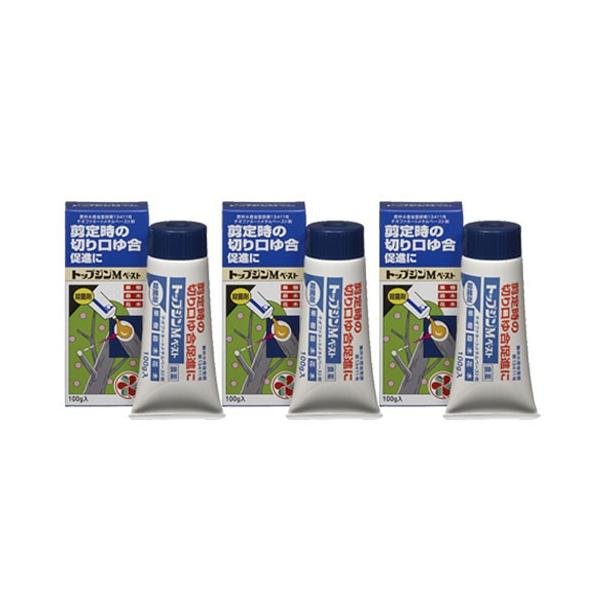 KINCHO���| �g�b�v�W��M �y�[�X�g 100g×3�{ �_��