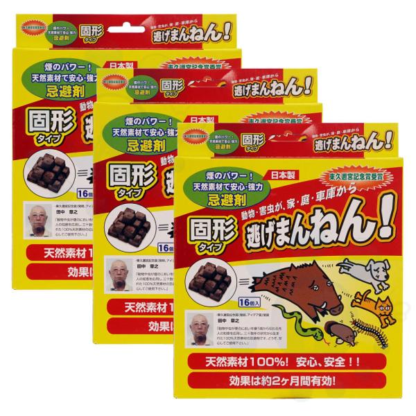  3Zbg܂˂ Ō`^Cv(16×3 VR100 S S 