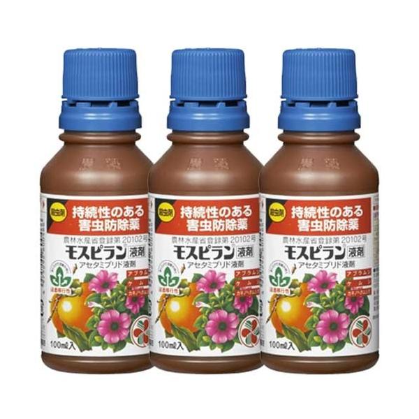E Xst ̂Qh 100ml×3{ KINCHO| _