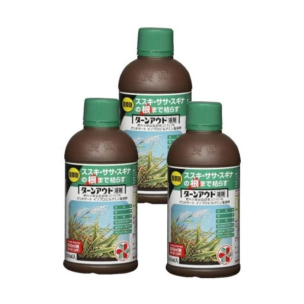  ^[AEgt 300ml×3{ KINCHO| _