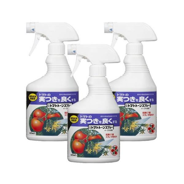 A Yg}gg[Xv[ 420ml×3{ KINCHO| _