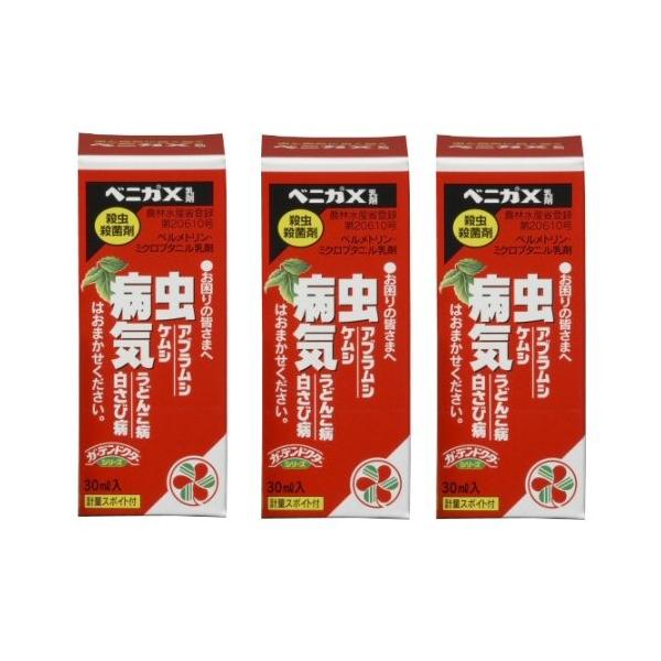 EEۍ _ xjJX 30ml×3{ KINCHO|