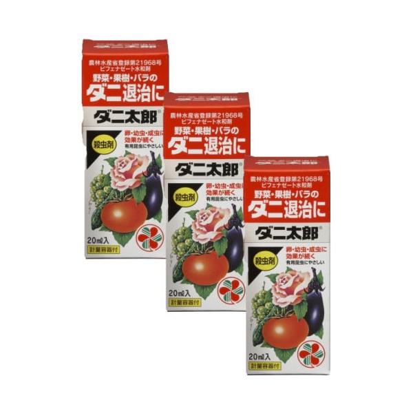 KINCHO| _jY  ʎ õ_jގ 20ml×3{ _