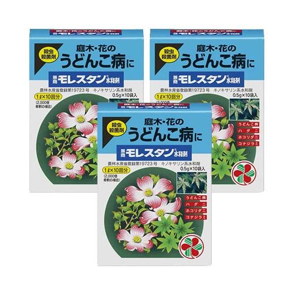 EEۍ X^a 0.5g×10 ×3 KINCHO| _