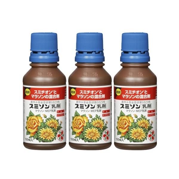 X~\ X~`Iƃ}\̍ 100ml×3{ KINCHO| E _