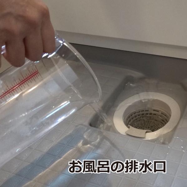 コバエ チョウバエ退治 排水口コバエ退治 3個入 3箱 殺虫剤 コバエ駆除 Buyee Buyee 提供一站式最全面最專業現地yahoo Japan拍賣代bid代拍代購服務 Bot Online